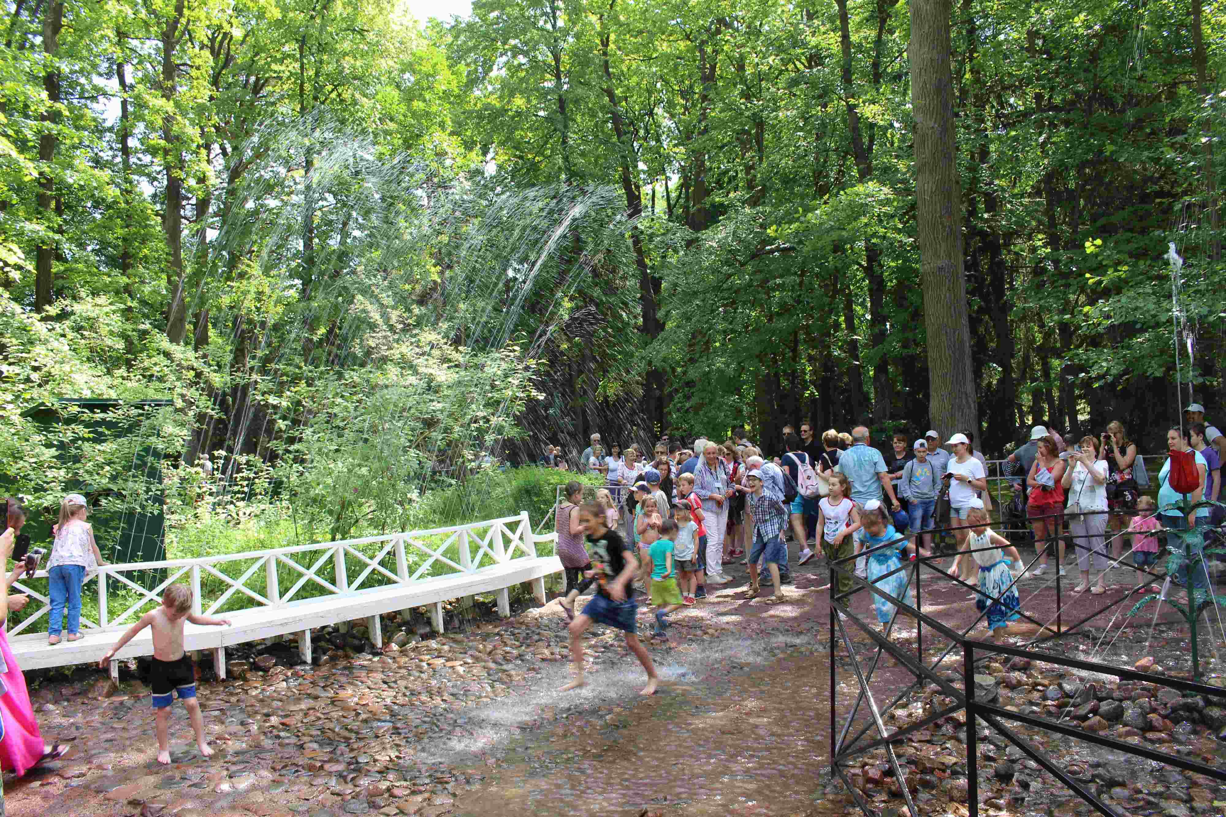 Fun fountain in Peterhof, children playing in the water